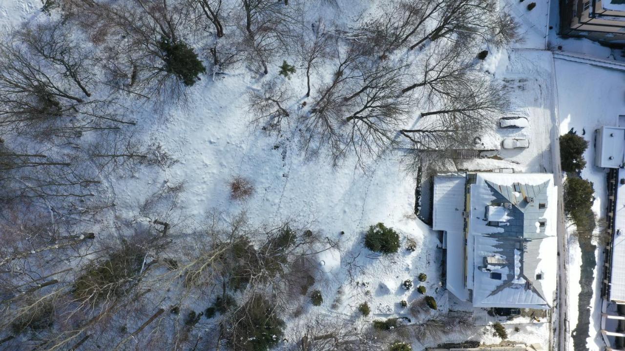 Willa Zacheta Krynica-Zdrój Exterior foto